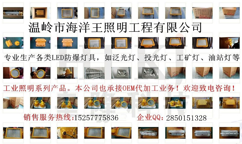 80WLED防爆灯（价格）定制80WLED防爆灯