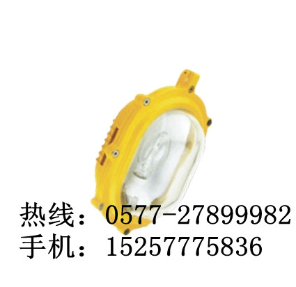 海洋王BFE8120（价格）内场防爆应急灯厂家/图片
