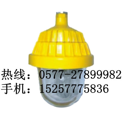 海洋王BPC8720（价格）海洋王防爆平台灯厂家