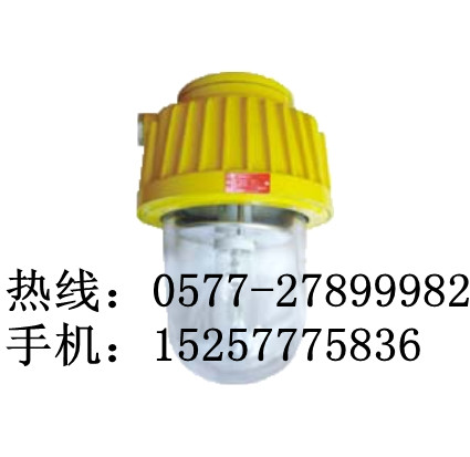 ​海洋王（BPC8730）BPC8730防爆平台灯价格
