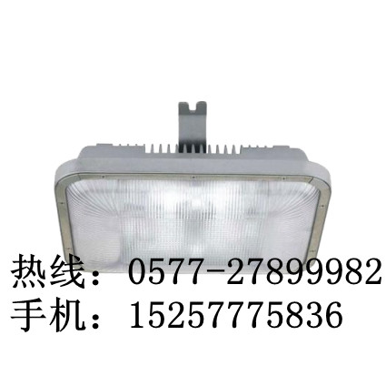 海洋王NFC9175 （长寿顶灯）NFC9175价格