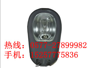 海洋王NLC9600（250W/400W)道路灯厂家价格