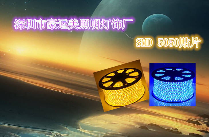 公司版头1.jpg