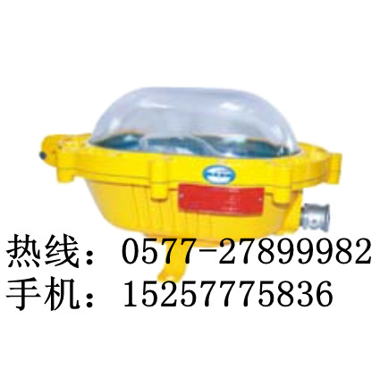 供应BFC8920（海洋王实物图）BFC8920粉尘防爆灯