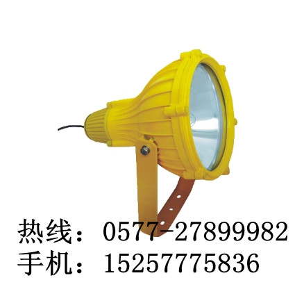 哪里有BTC8210海洋王正品防爆投光灯销售