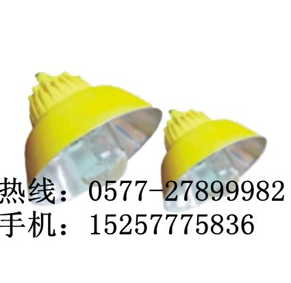 提供海洋王BLC8600防爆道路灯厂家最新价格