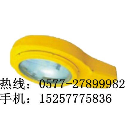 海洋王BLC8610防爆道路灯-8米路灯杆厂家价格