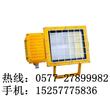 防爆泛光灯BTC6150（海洋王防爆灯）价格