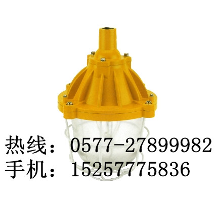 防爆工厂灯BYC6170（海洋王防爆灯）价格