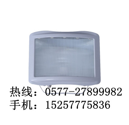 NSC9720A泛光灯-NSC9720铁路隧道灯