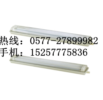 GFD6010防水防尘灯_BCX6225防爆防腐荧光灯