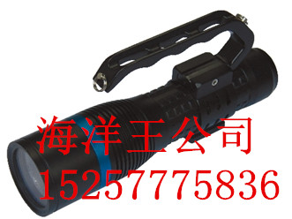 海洋王JW7112/HPLED匀光勘察光源（价格）