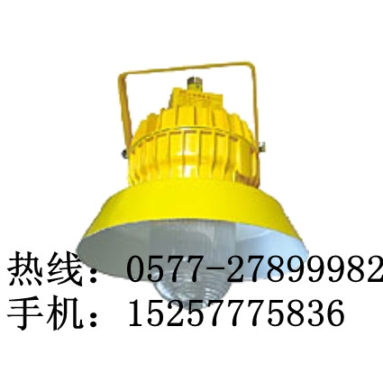海洋王BPC8710-BPC8710防爆平台灯价格