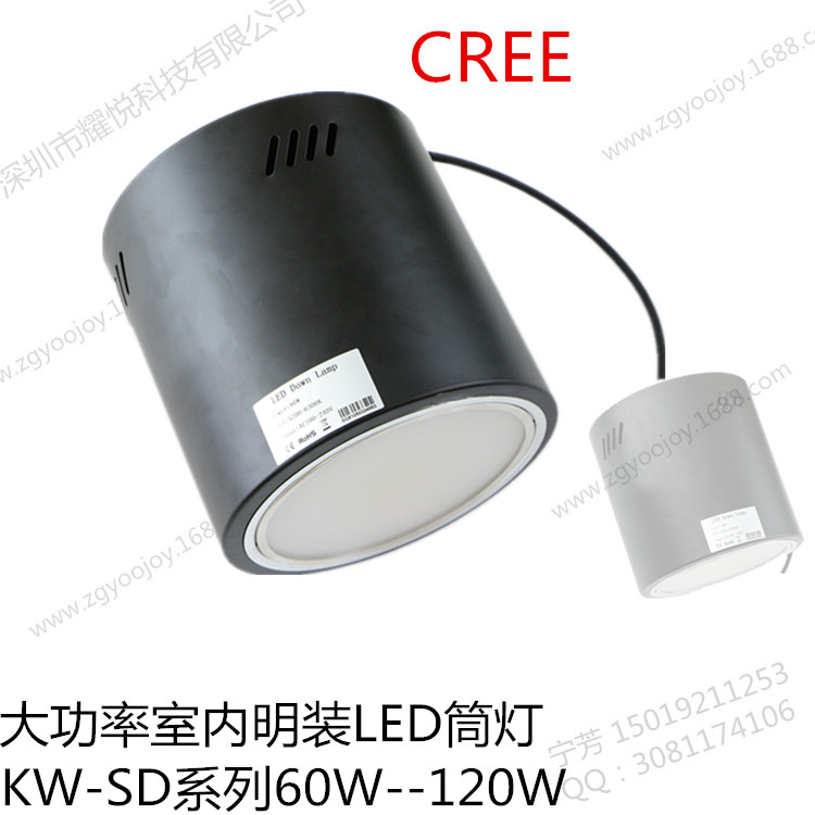 明装筒灯 LED筒灯100W