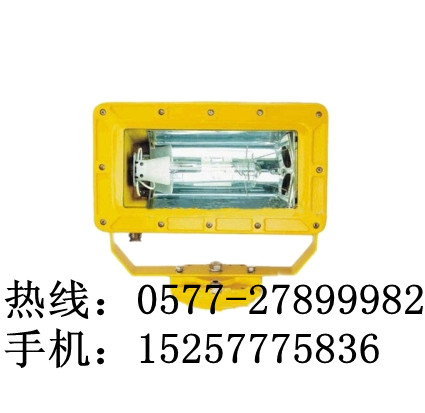 海洋王BFC8100（煤堆场）外场强光防爆泛光灯价格