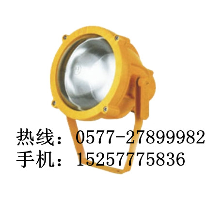 海洋王BTC8200-BTC8200防爆投光灯海洋王牌