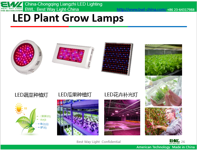 BWL7-24 LED植物生长灯