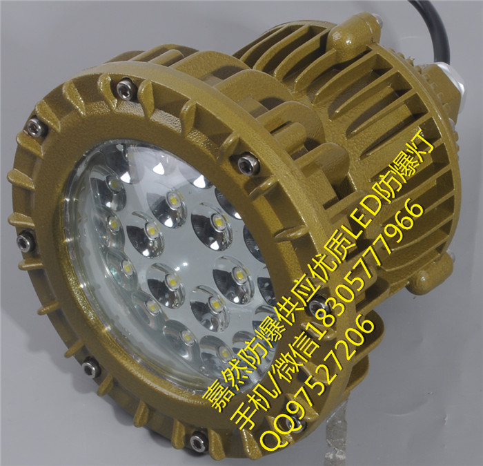 化工厂防爆照明灯40w,防爆led路灯30w