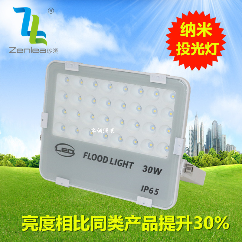 Zenlea珍领 led蜂窝煤投光灯30W  防水七彩灯