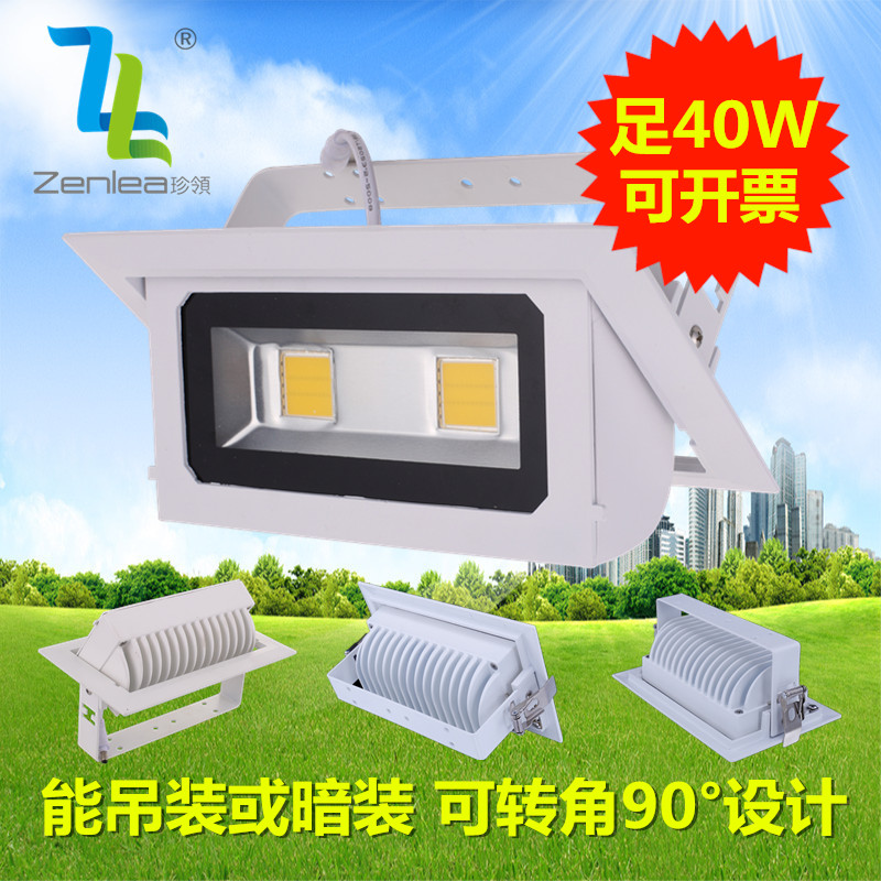 Zenlea珍领 集成20w/30w/40W方形孔灯 室内转角投射灯
