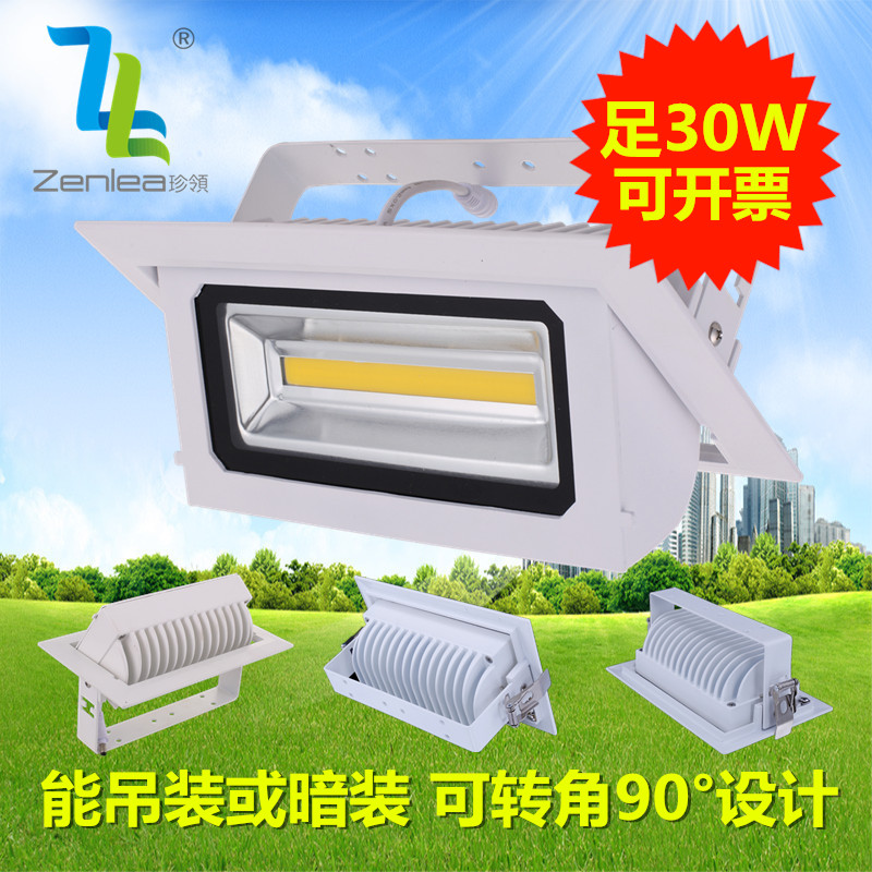 Zenlea珍领  室内LED投射灯 30W方形COB投射灯