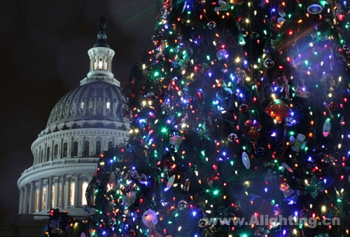 【今日焦点】世界各地点亮圣诞彩灯 哪个最有气氛？
