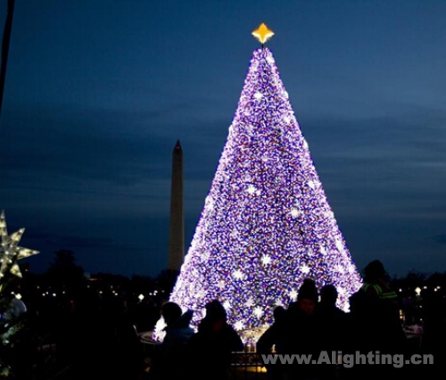 【今日焦点】世界各地点亮圣诞彩灯 哪个最有气氛？