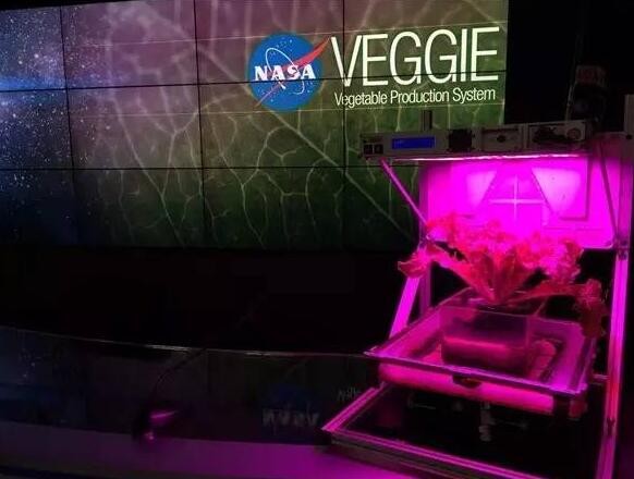 NASA LED植物培养箱再升级 2017年将被送往空间站