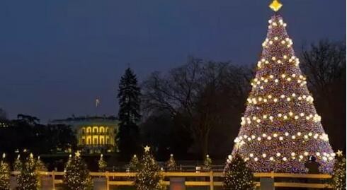 英媒：中国造LED圣诞树彩灯物美价廉