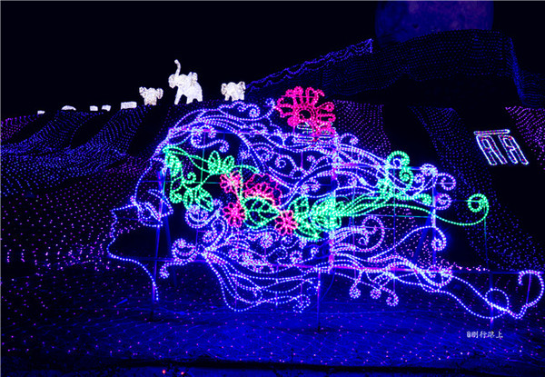 据说这个梦幻灯光节照亮了三亚