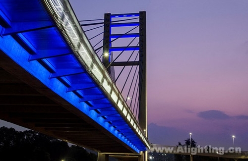 约翰内斯堡Rea Vaya BRT 桥