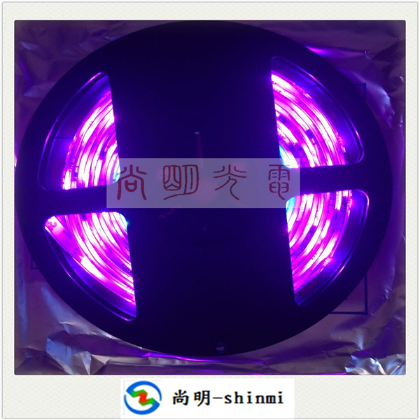 2811IC30灯一米免控幻彩跑马LED软灯条厂家批发