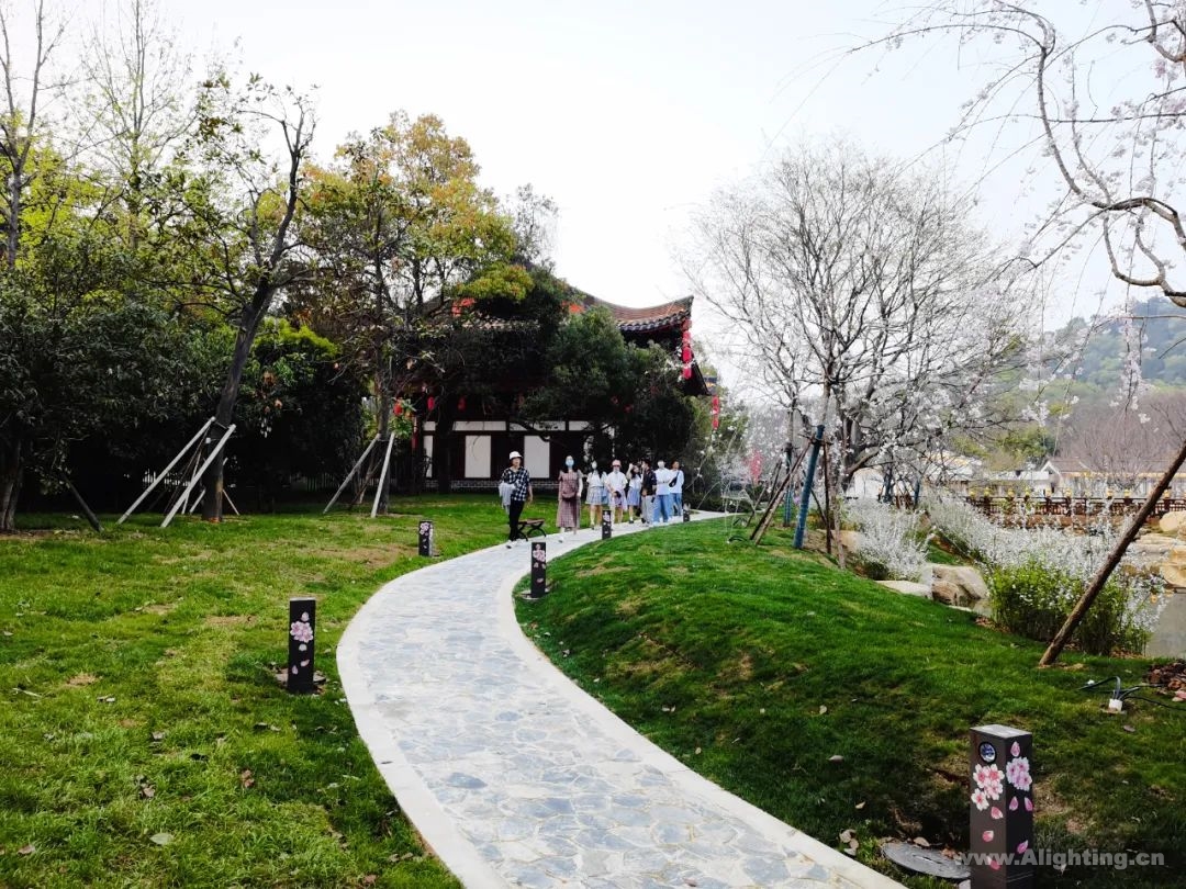 烂漫春天，「樱」为有你|武汉东湖磨山风景区文旅项目插图26