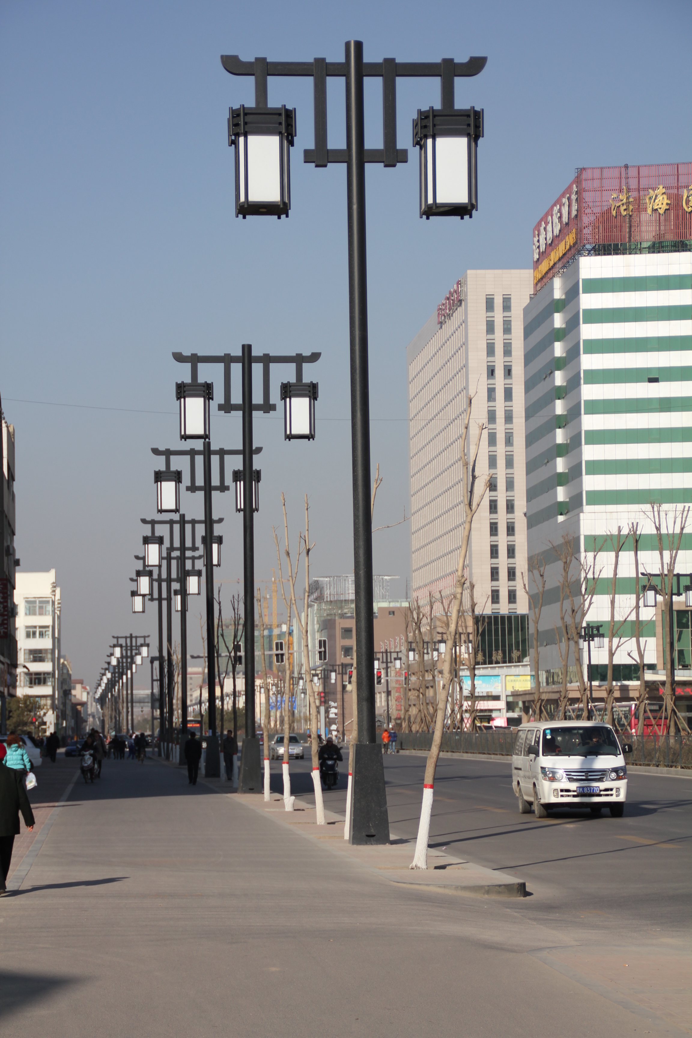 大同市魏都大道路灯